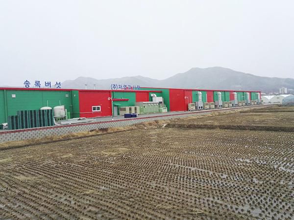 Proyecto de invernadero para setas en Seúl, Corea