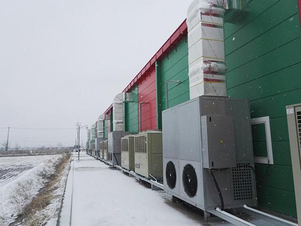 Proyecto de invernadero para setas en Seúl, Corea